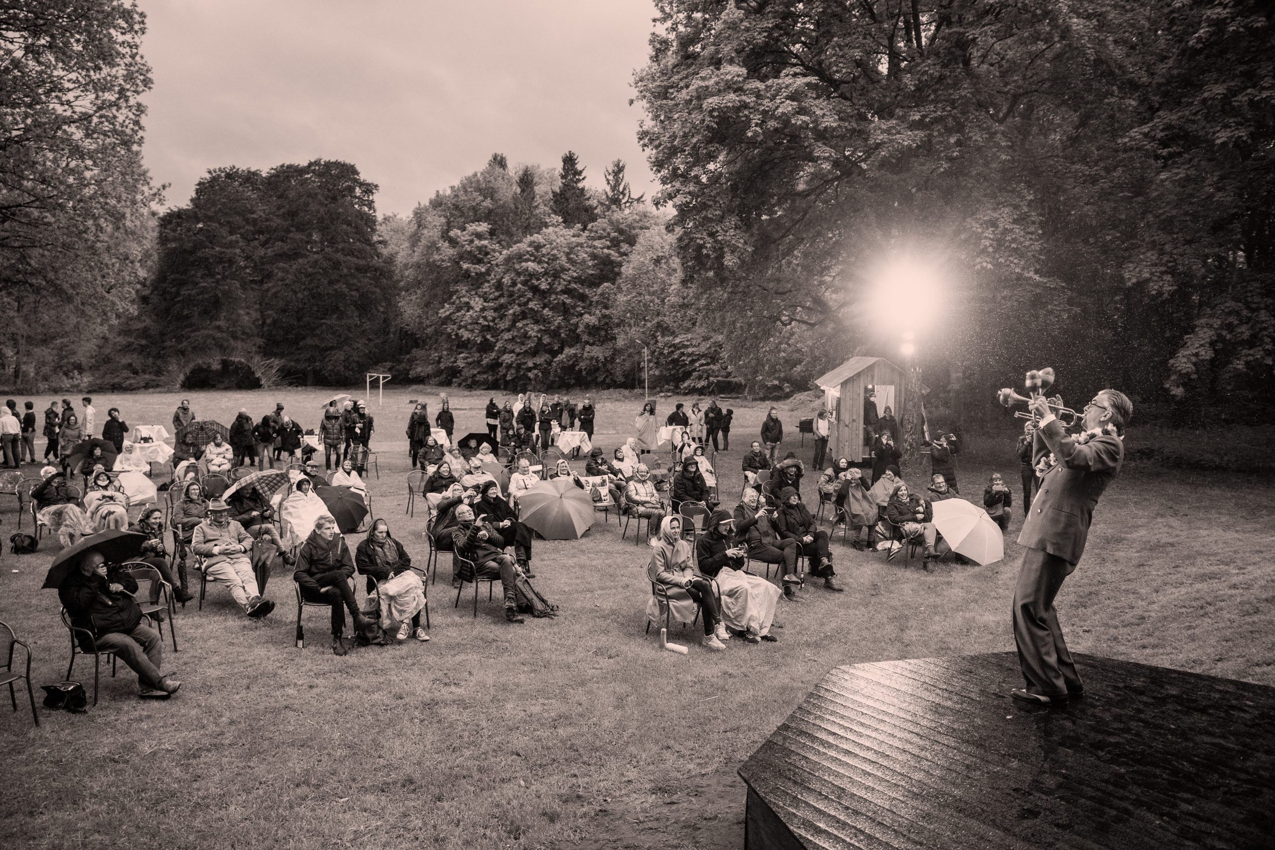 the swingin hermlins